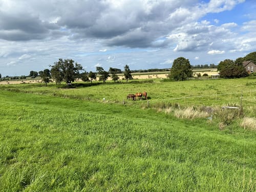 Wesel-Rees-Xanten