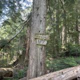 Love Lake, British Columbia, Canada - 79 Reviews, Map | AllTrails