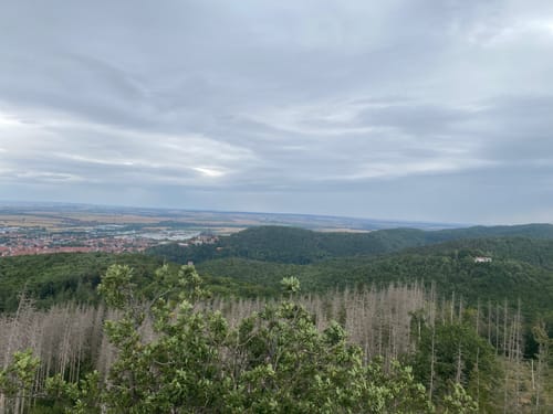 Hasserode - Scharfenstein Runde