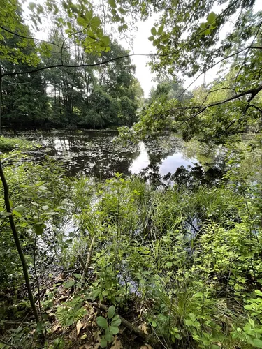 Best Hikes and Trails in Cochituate State Park AllTrails