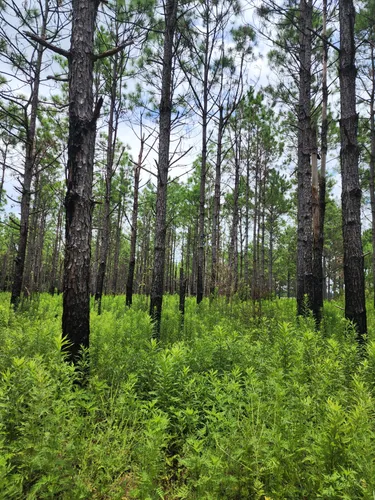 Best Hikes and Trails in Muddy Creek Wetlands Management Area | AllTrails