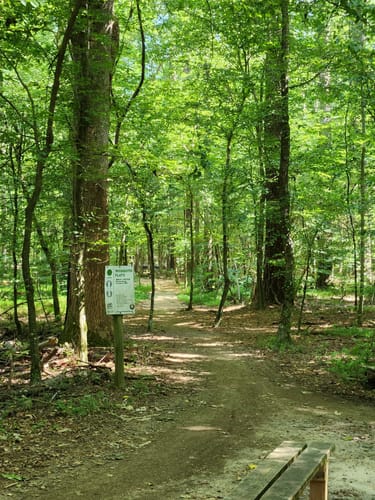 Best hikes and trails in Blankets Creek AllTrails