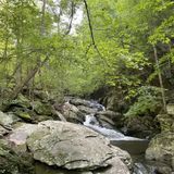 Goforth Creek Trail, Tennessee - 394 Reviews, Map | AllTrails