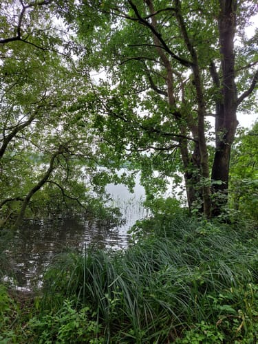 Um den Bistensee