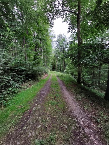 Rund um Lonau