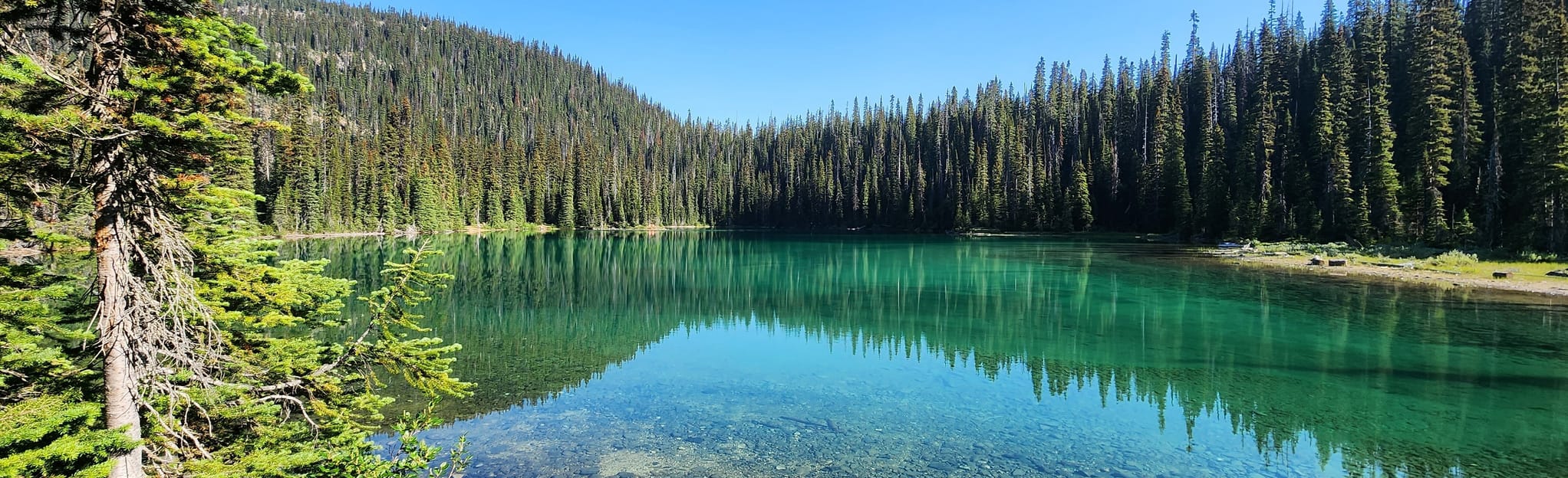 Yoho Lake Camp 602 Zdjęcia Kolumbia Brytyjska, Kanada AllTrails