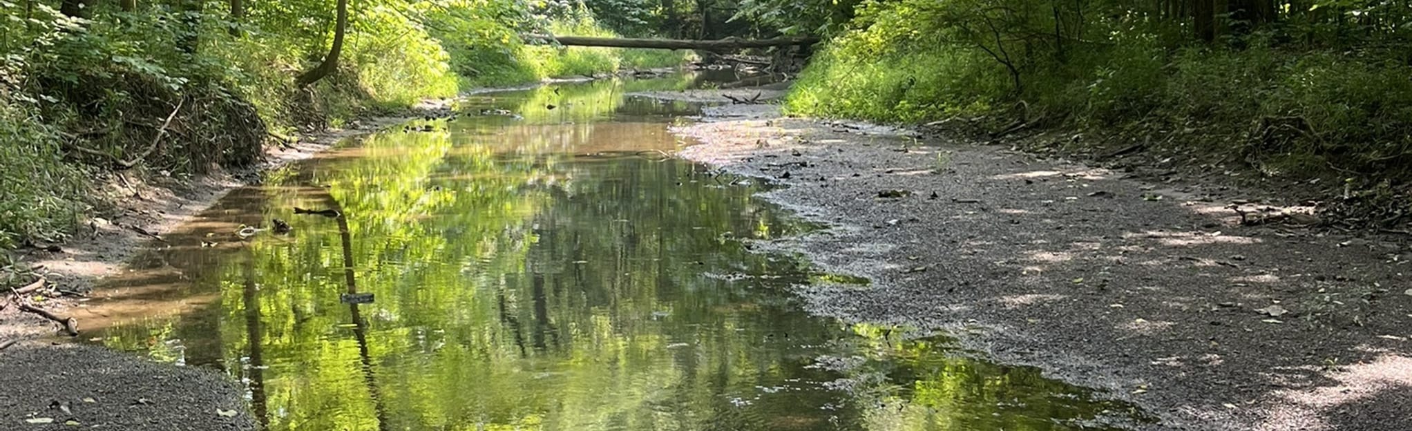 Kipton Reservation Trail 34 Reviews, Map Ohio AllTrails