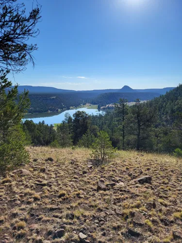 Best Wildlife Trails in Datil AllTrails