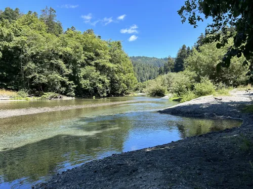 Best 10 Hikes and Trails in Redwood National Park | AllTrails