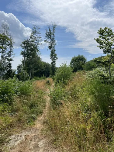 Best Short Trails in Foreste Casentinesi, Monte Falterona, Campigna ...