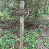 Appalachian Trail: Hogpen Gap To Unicoi Gap, Georgia - 565 Reviews, Map ...