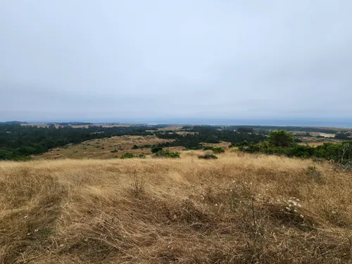 10 Best Hikes and Trails in Wilder - EyJidWNrZXQiOiJhc3NldHMuYWxsdHJhaWxzLmNvbSIsImtleSI6InVwbG9hZHMvcGhvdG8vaW1hZ2UvNjMwNjQ0MjIvY2IzYzIzYzEzNjczOGMzYzY4ODY4ZjFjYjBmMzc3MWMuanBnIiwiZWRpdHMiOnsidG9Gb3JtYXQiOiJ3ZWJwIiwicmVzaXplIjp7IndpZHRoIjo1MDAsImhlaWdodCI6NTAwLCJmaXQiOiJpbnNpZGUifSwicm90YXRlIjpudWxsLCJqcGVnIjp7InRyZWxsaXNRdWFudGlzYXRpb24iOnRydWUsIm92ZXJzaG9vdERlcmluZ2luZyI6dHJ1ZSwib3B0aW1pc2VTY2FucyI6dHJ1ZSwicXVhbnRpc2F0aW9uVGFibGUiOjN9fX0=