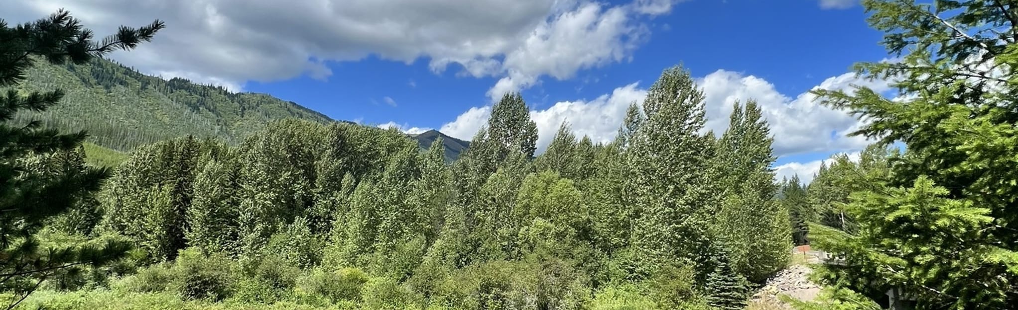 Oxbow Trail 95 Reviews, Map Montana AllTrails