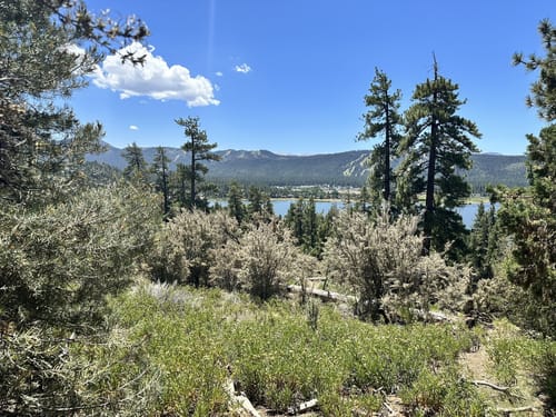 Mountain bike trails in big bear outlet