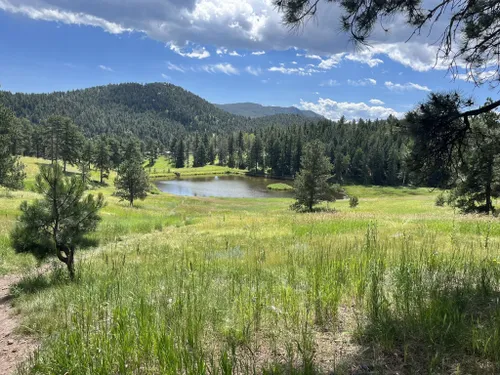 Best Hikes and Trails in Flying J Ranch Park | AllTrails