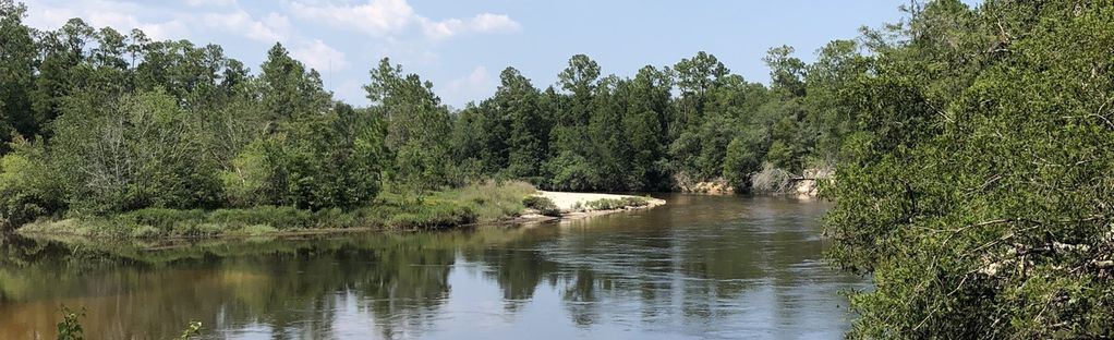 Perdido River Trail: Blue Lake Landing to Staple Fork Landing: 55 Reviews,  Map - Alabama | AllTrails