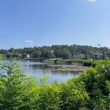 ᐅ Chestnut Hill Reservoir fishing reports🎣• Brookline, MA