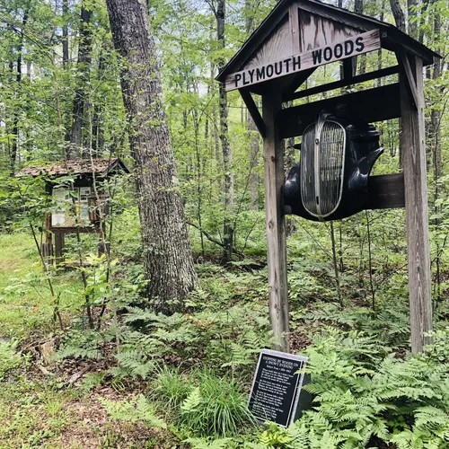 Best Hikes and Trails in Pine City AllTrails