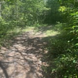 Butter Gap to Cat Gap Trail , North Carolina - 456 Reviews, Map | AllTrails