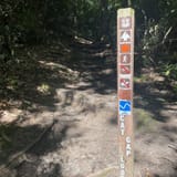 Butter Gap to Cat Gap Trail , North Carolina - 456 Reviews, Map | AllTrails