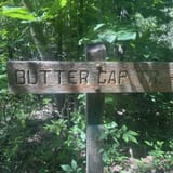 Butter Gap to Cat Gap Trail , North Carolina - 456 Reviews, Map | AllTrails