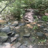 Butter Gap to Cat Gap Trail , North Carolina - 454 Reviews, Map | AllTrails