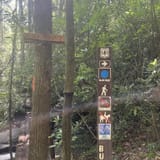 Butter Gap to Cat Gap Trail , North Carolina - 456 Reviews, Map | AllTrails