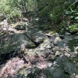 Butter Gap to Cat Gap Trail , North Carolina - 456 Reviews, Map | AllTrails