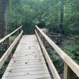 Butter Gap to Cat Gap Trail, North Carolina - 508 Reviews, Map | AllTrails