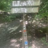 Butter Gap to Cat Gap Trail , North Carolina - 456 Reviews, Map | AllTrails