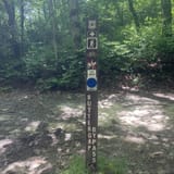 Butter Gap to Cat Gap Trail , North Carolina - 456 Reviews, Map | AllTrails