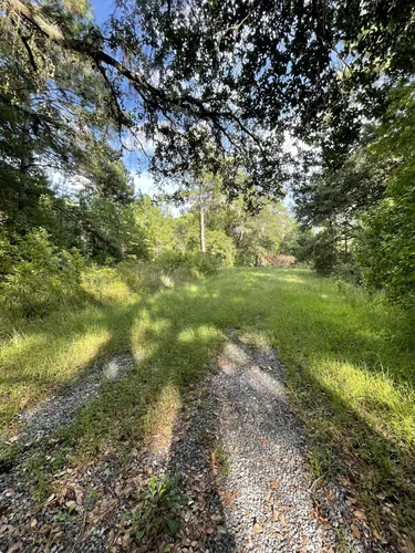 2023 Best Forest Trails in Green Cove Springs | AllTrails