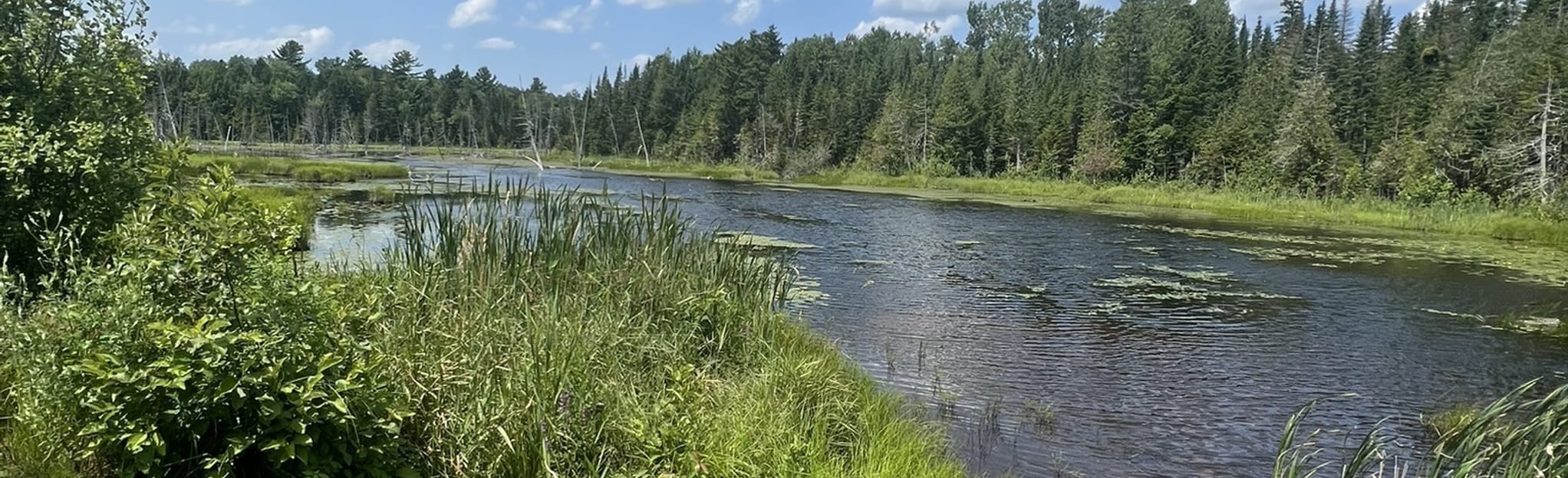 Porcupine Pass to Scotch Lake Road Loop 21 Reviews, Map New