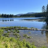 Round Lake Trail, Idaho - 583 Reviews, Map | AllTrails