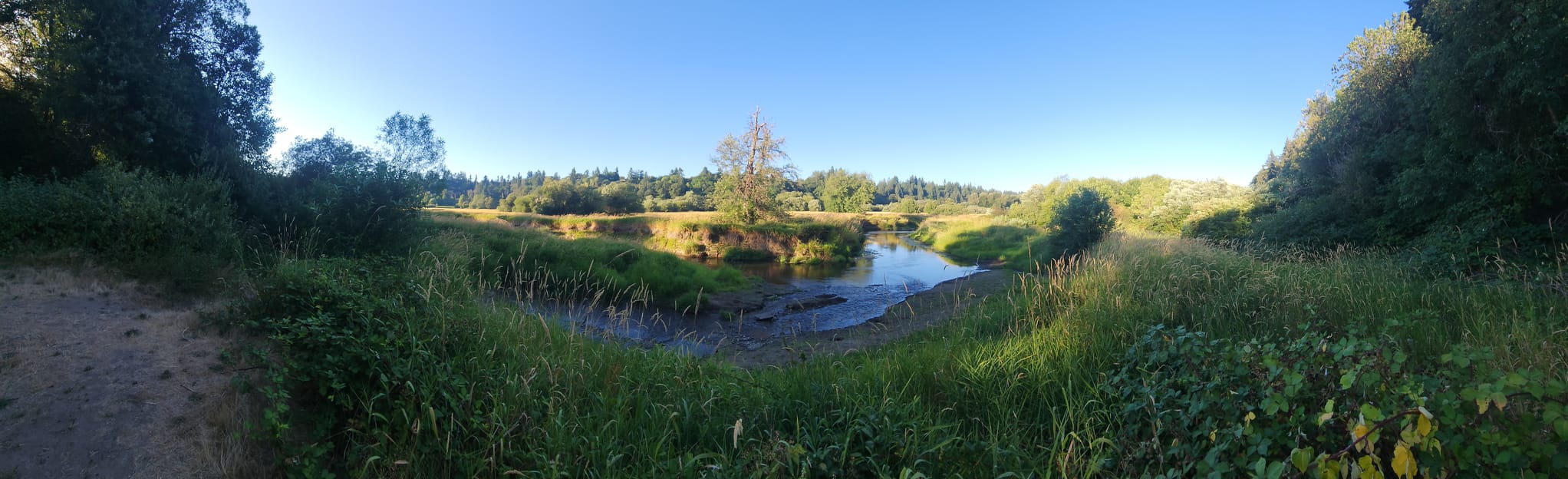 Salmon Creek Trail 912 Reviews, Map Washington AllTrails