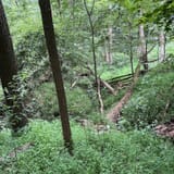 Scotts Gap Loop Trail, Kentucky - 897 Reviews, Map | AllTrails