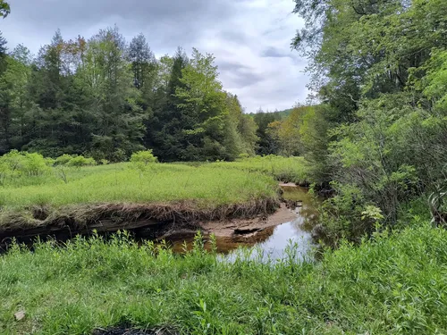 10 Best Hikes and Trails in Otter Creek Wildlife Management Area