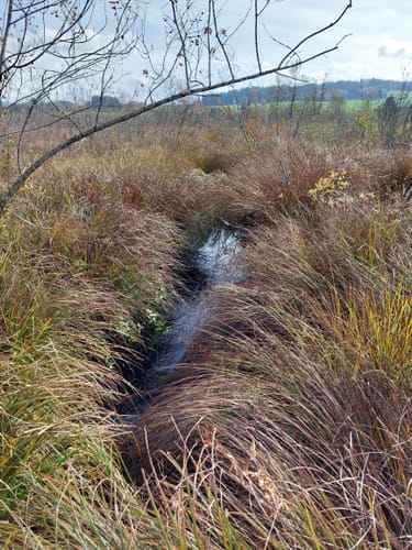 Moorwanderweg - Großer Ursee - Kleiner Ursee