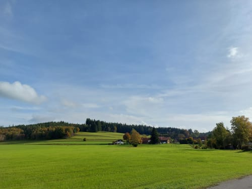 Moorwanderweg - Großer Ursee - Kleiner Ursee