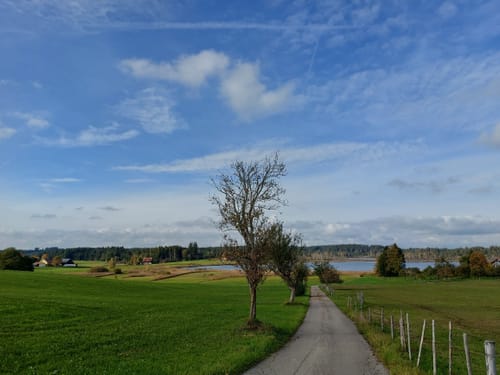 Moorwanderweg - Großer Ursee - Kleiner Ursee