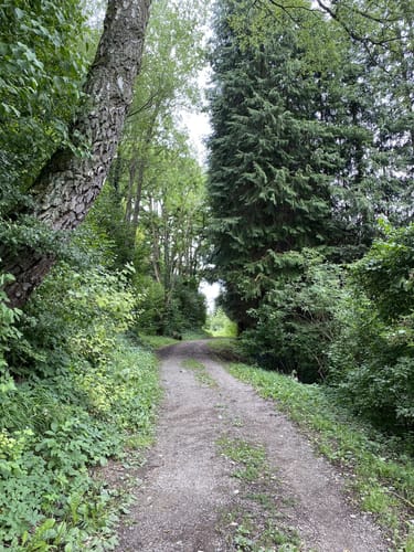 Rund um Wullenstetten