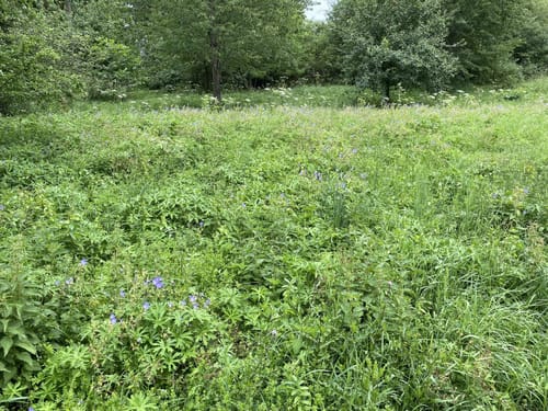 Rund um Wullenstetten