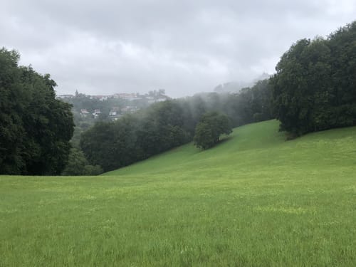 Waldecker Wanderweg W3: Ratzeburg