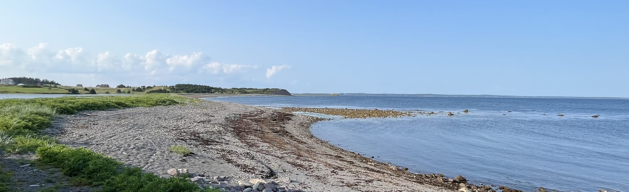 Petit Nez Beach, Nova Scotia, Canada - 5 Reviews, Map | AllTrails