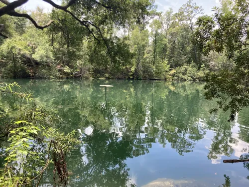 Edward Ball Wakulla Springs State Park