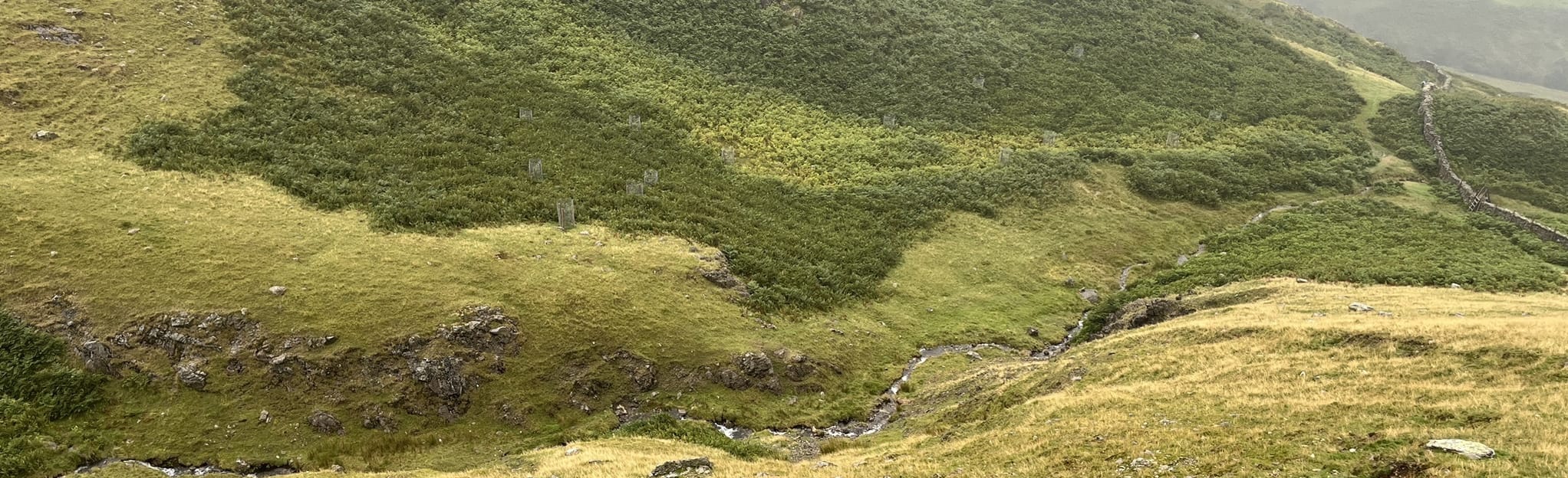 Wetherlam via Steel Edge, Swirl How, Grey Friar and Great Carr 452