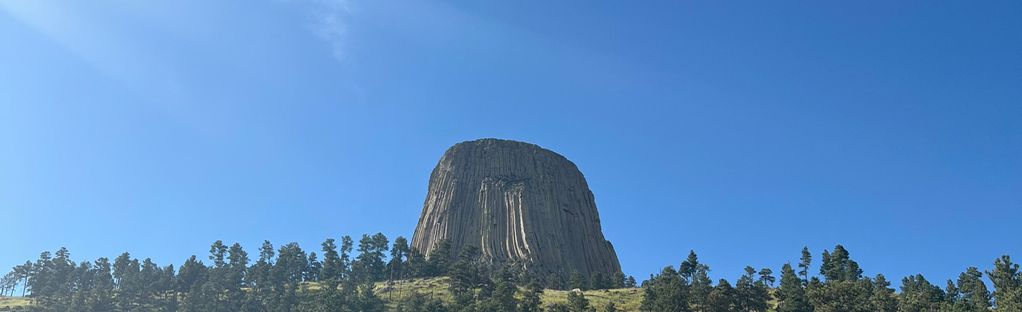 are dogs allowed at devils tower