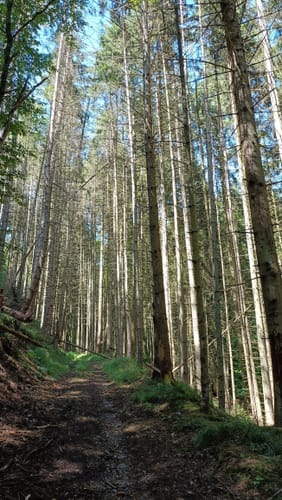Wanderweg D2 (Datzeroth)