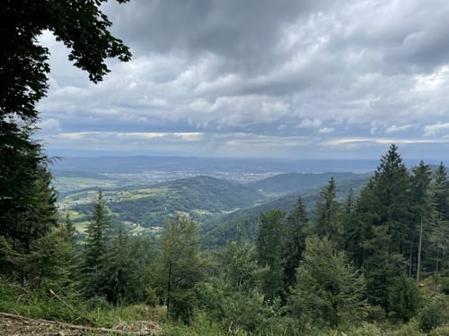 Schauinsland Rundweg