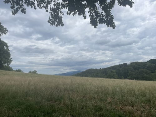 Von St. Georgen zur Schneeburg